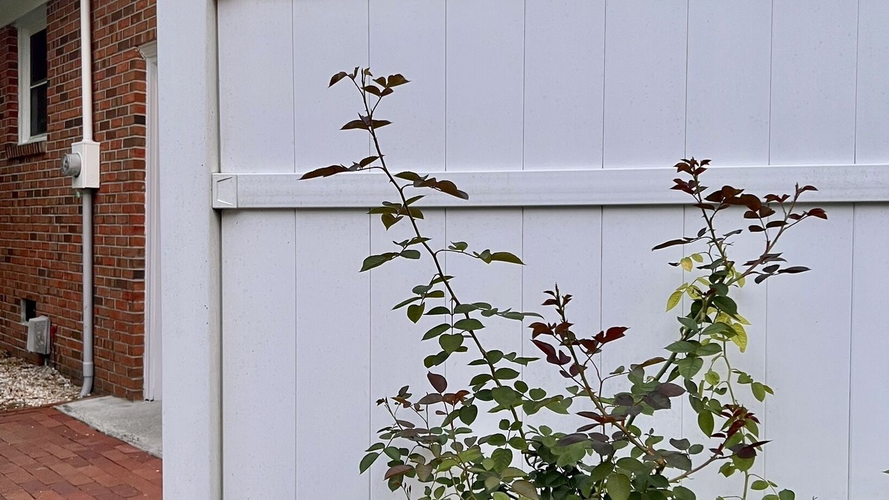 Photo of Outdoor in New Bern