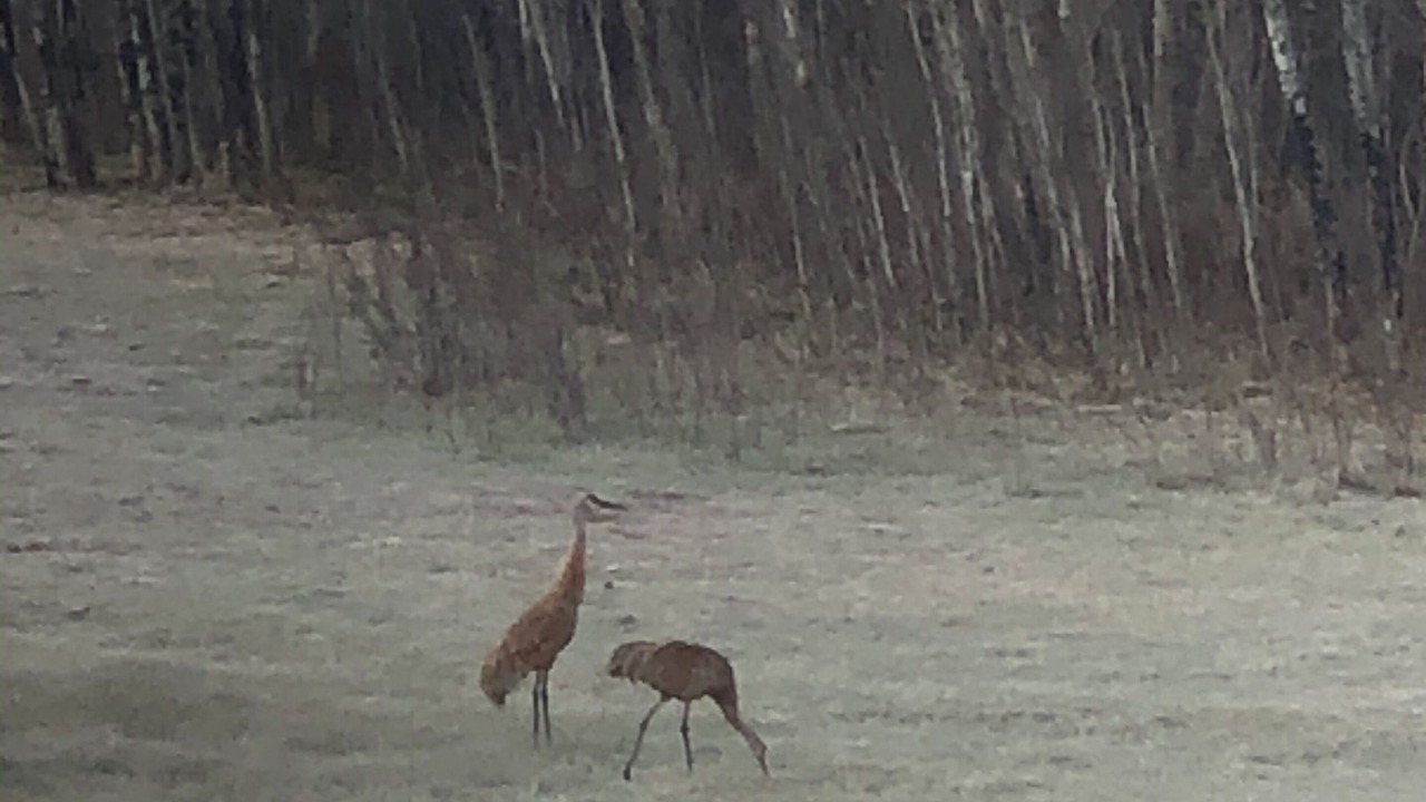 Photo of Others in Gibbonsville