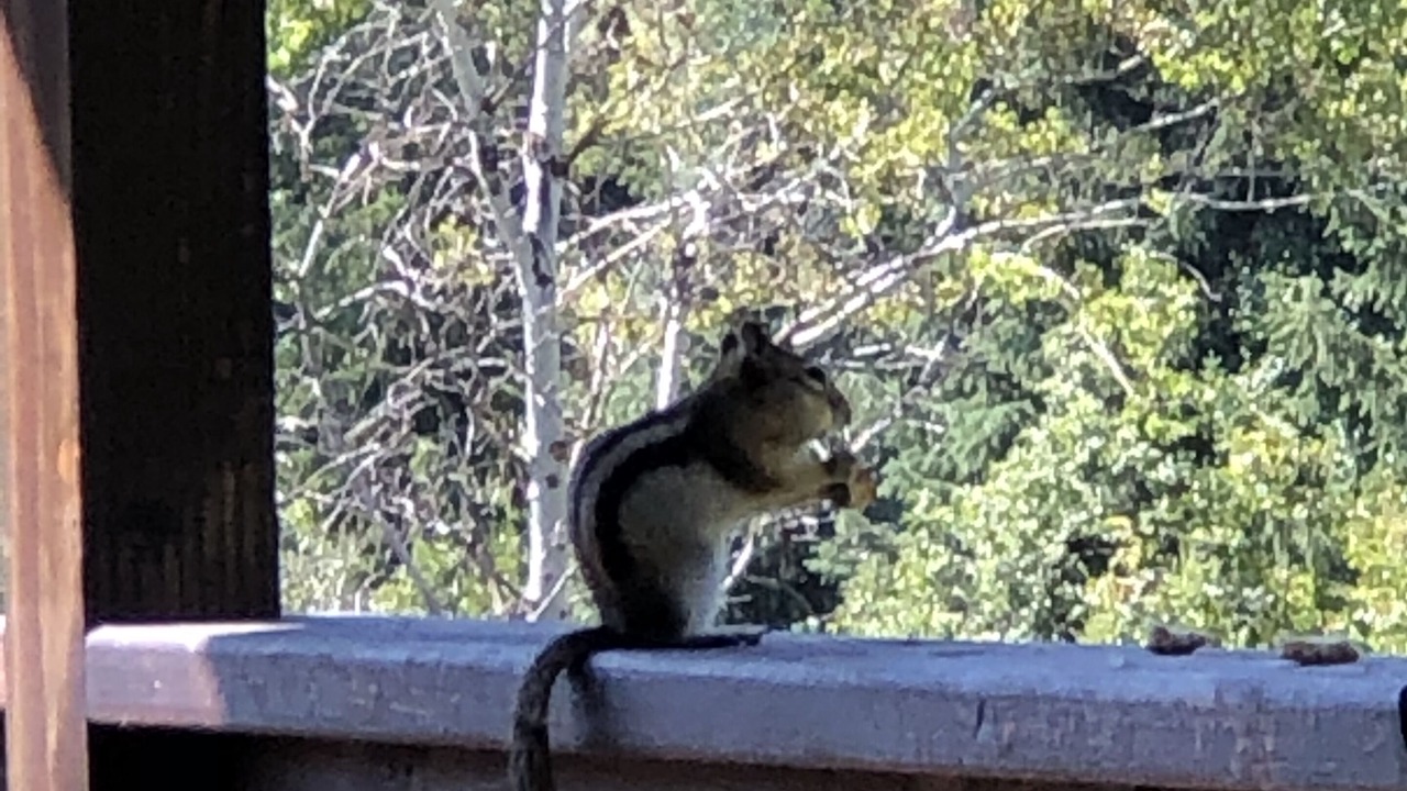 Photo of Others in Gibbonsville
