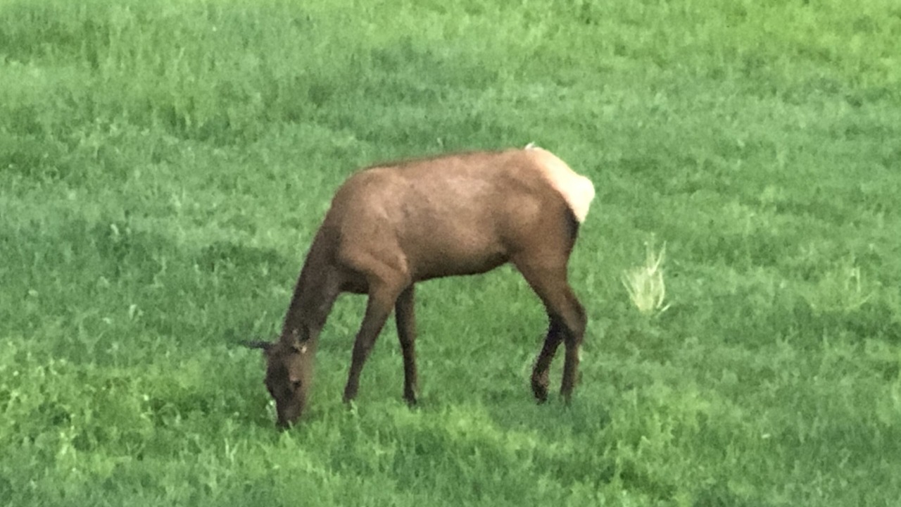 Photo of Outdoor in Gibbonsville
