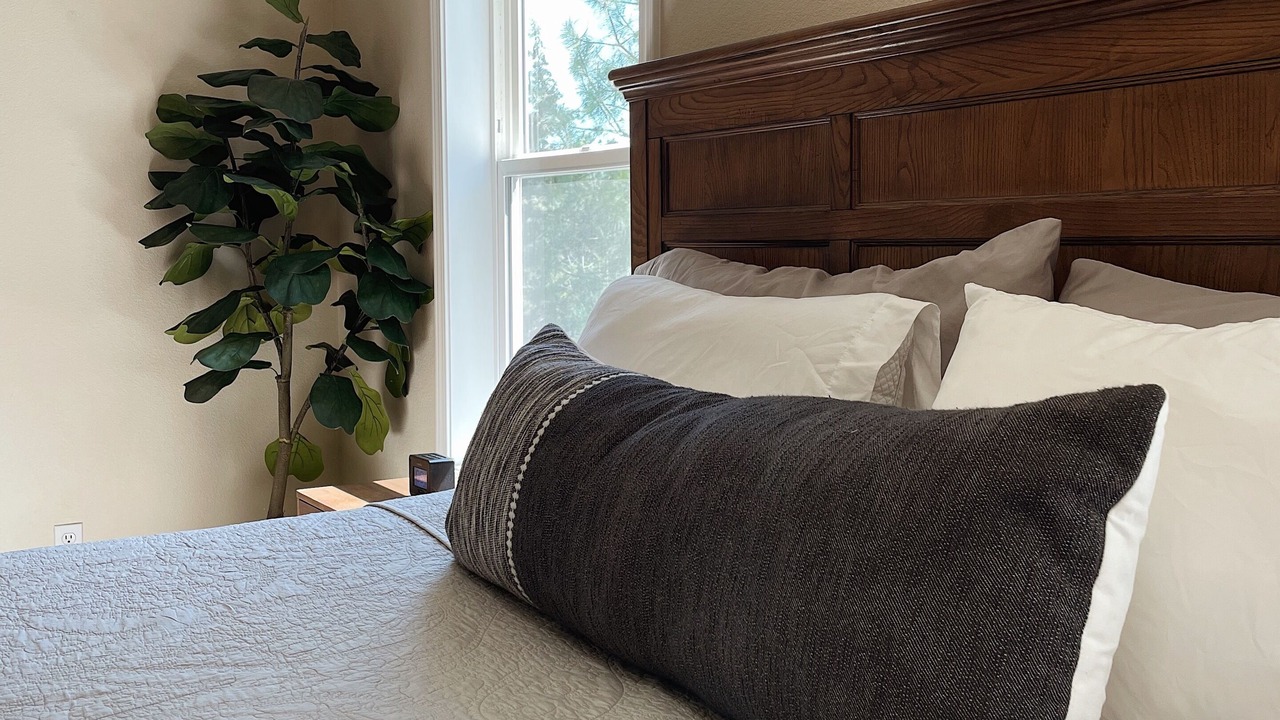 Photo of Bedroom in Orchard District