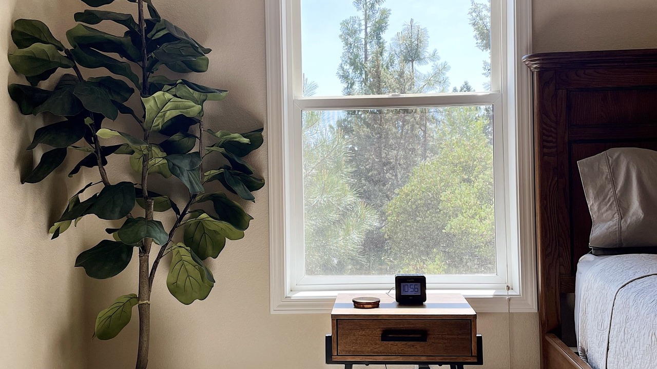 Photo of Bedroom in Orchard District