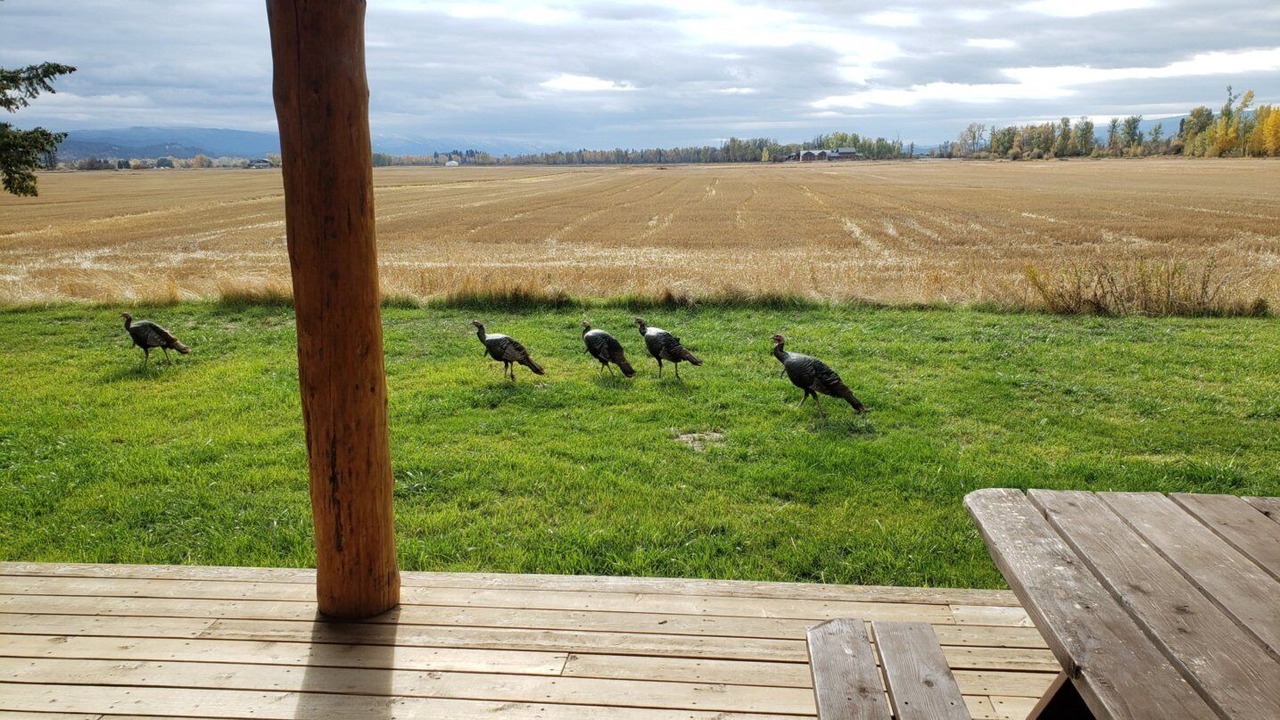 Photo of Others in Kalispell