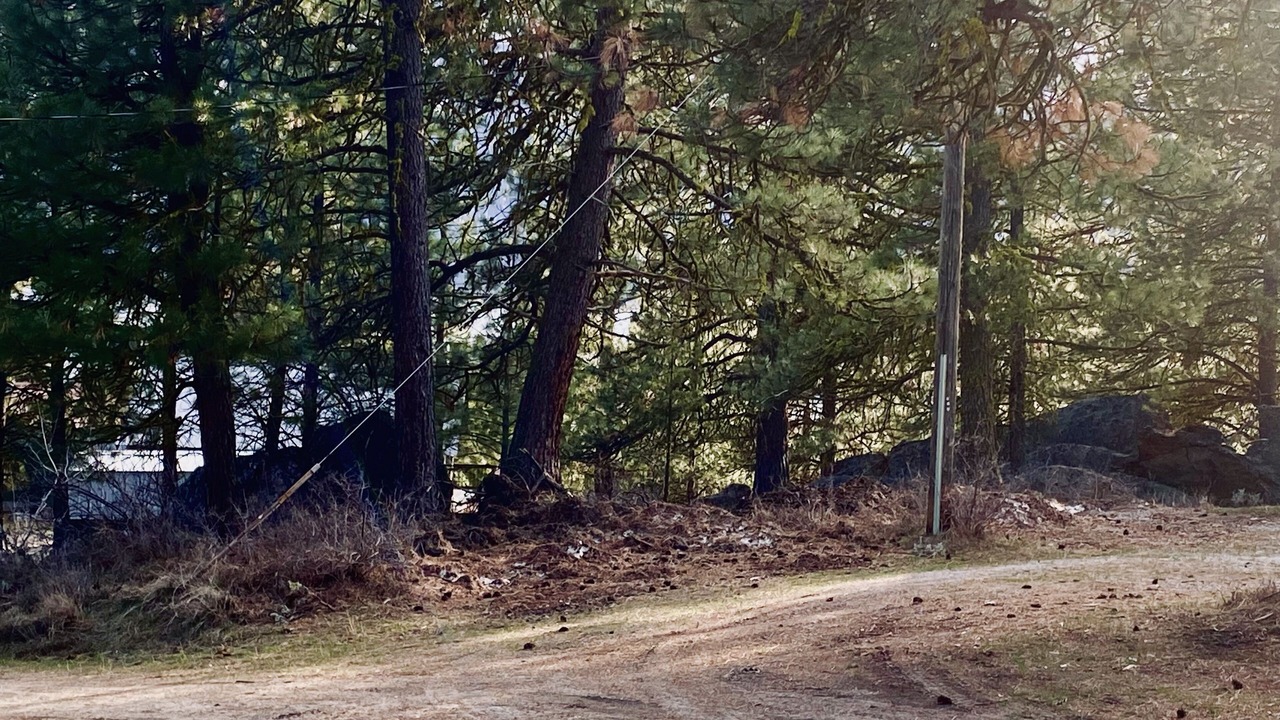 Photo of Outdoor in Cascade