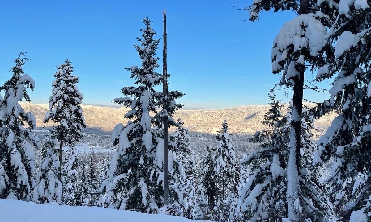 Photo of Outdoor in Libby