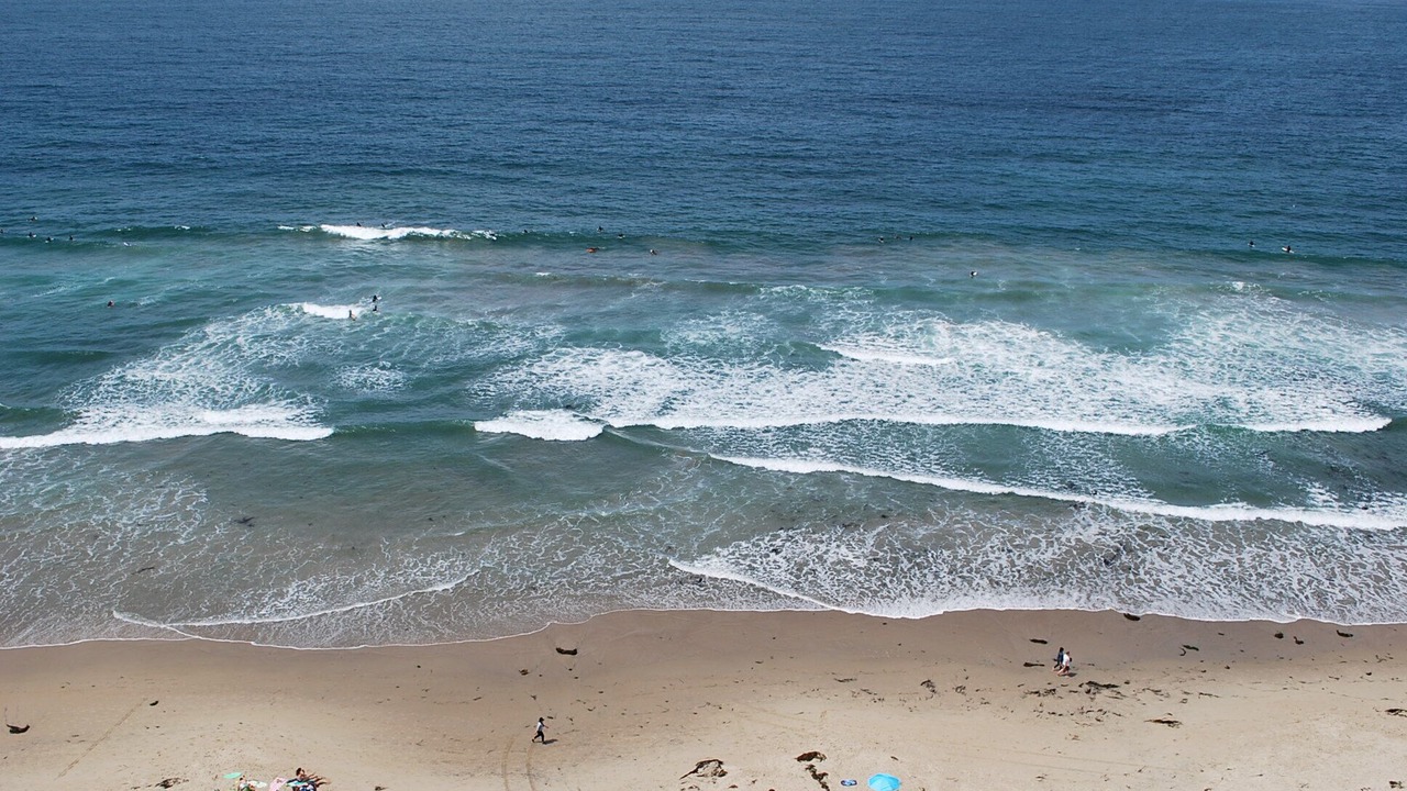 Photo of Others in San Diego