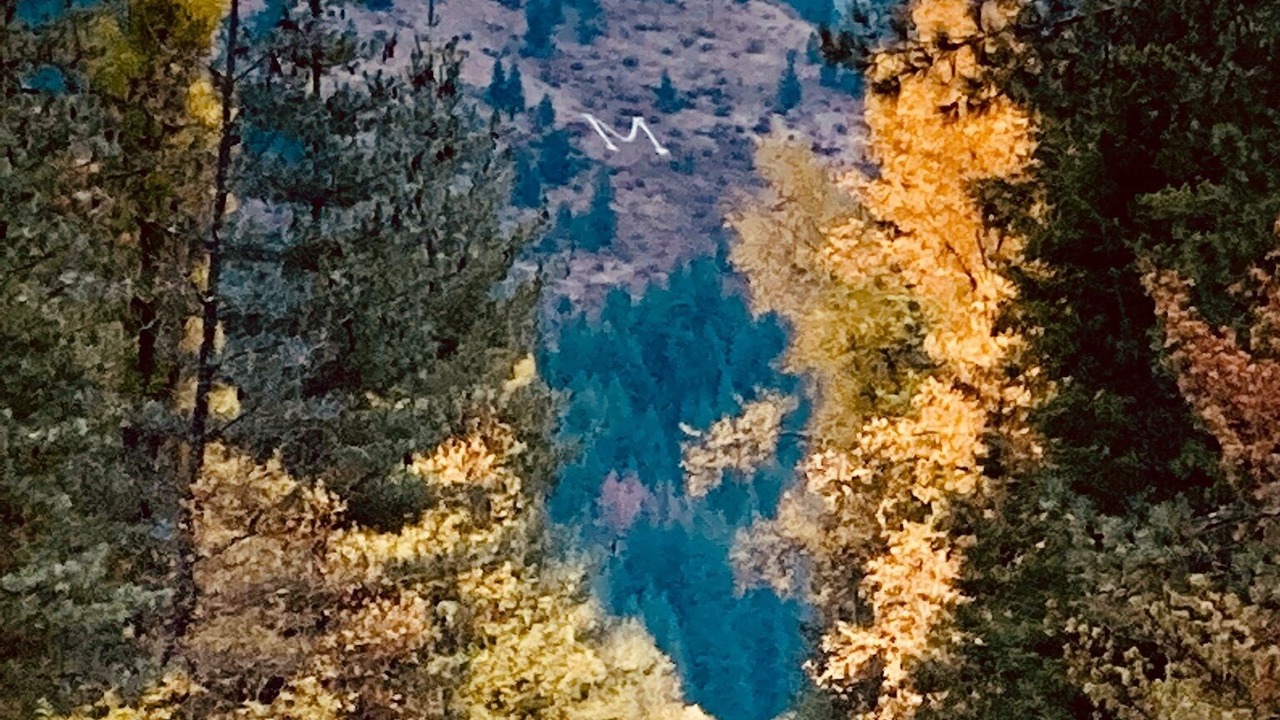 Photo of Others in Mullan