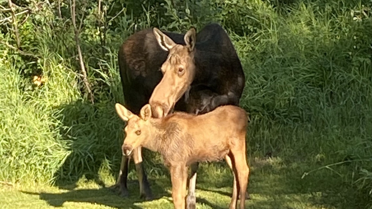 Photo of Others in Wilson