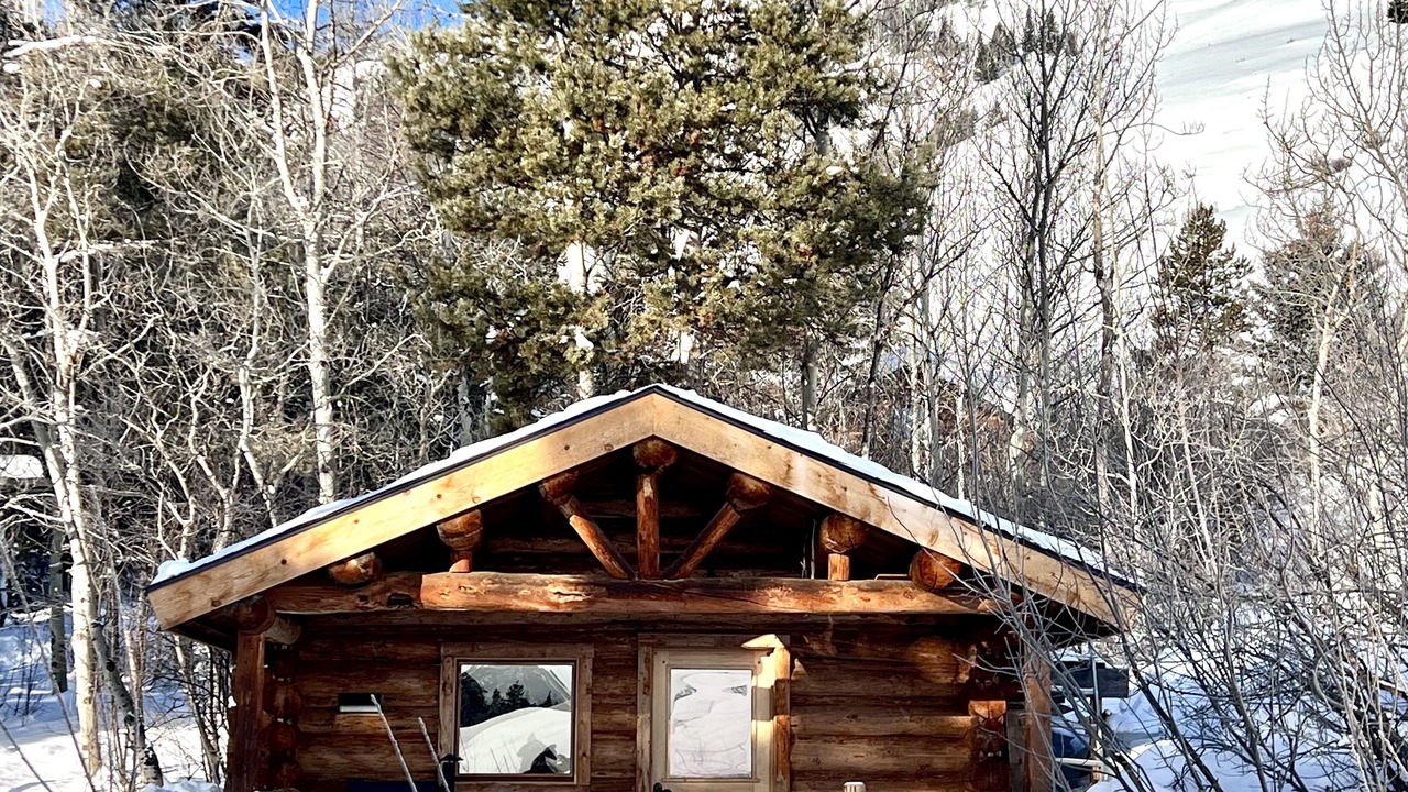Photo of Outdoor in Wilson