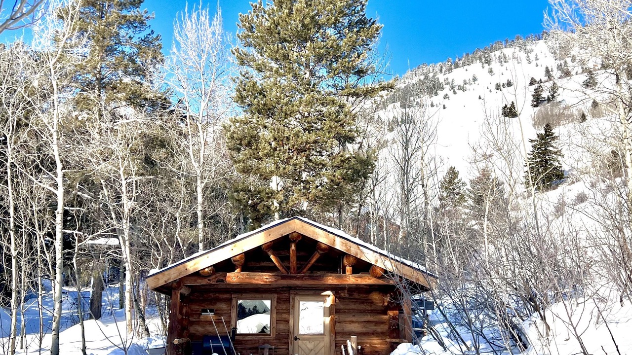 Photo of Outdoor in Wilson
