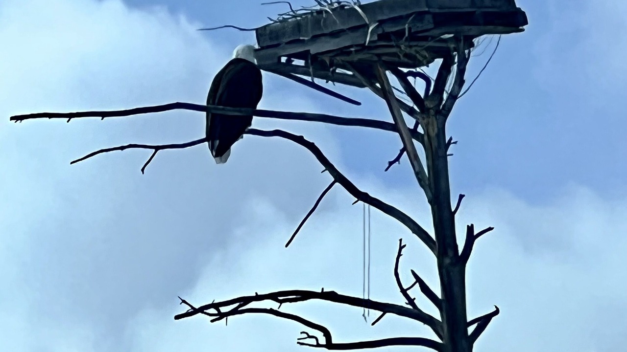 Photo of Others in Wilson