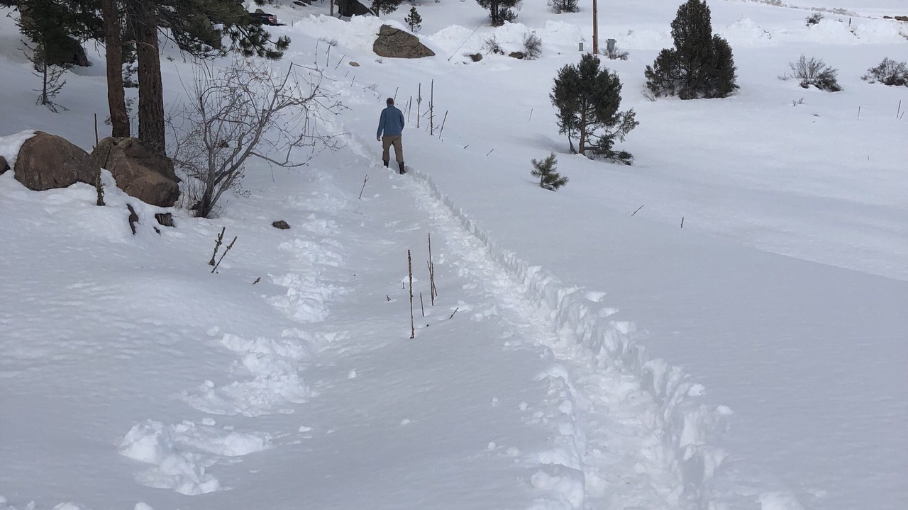 Photo of Others in Glacier View Meadows