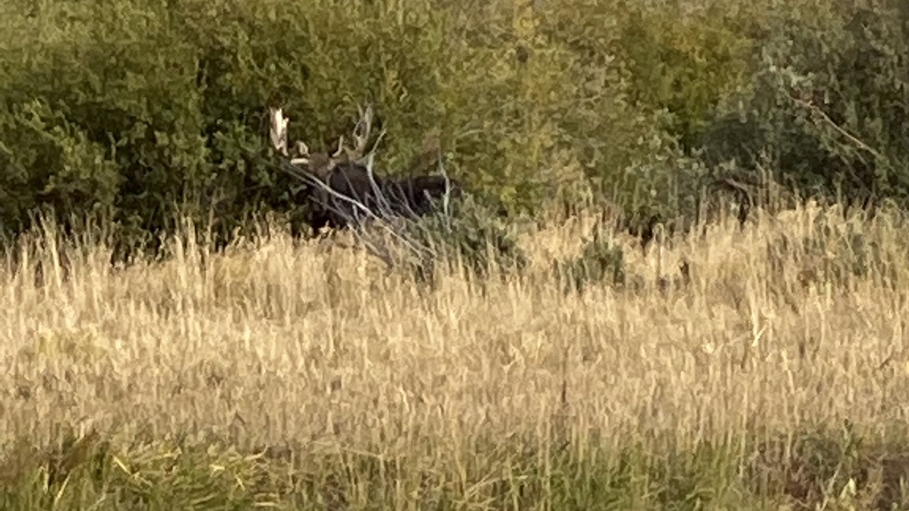 Photo of Outdoor in Walden