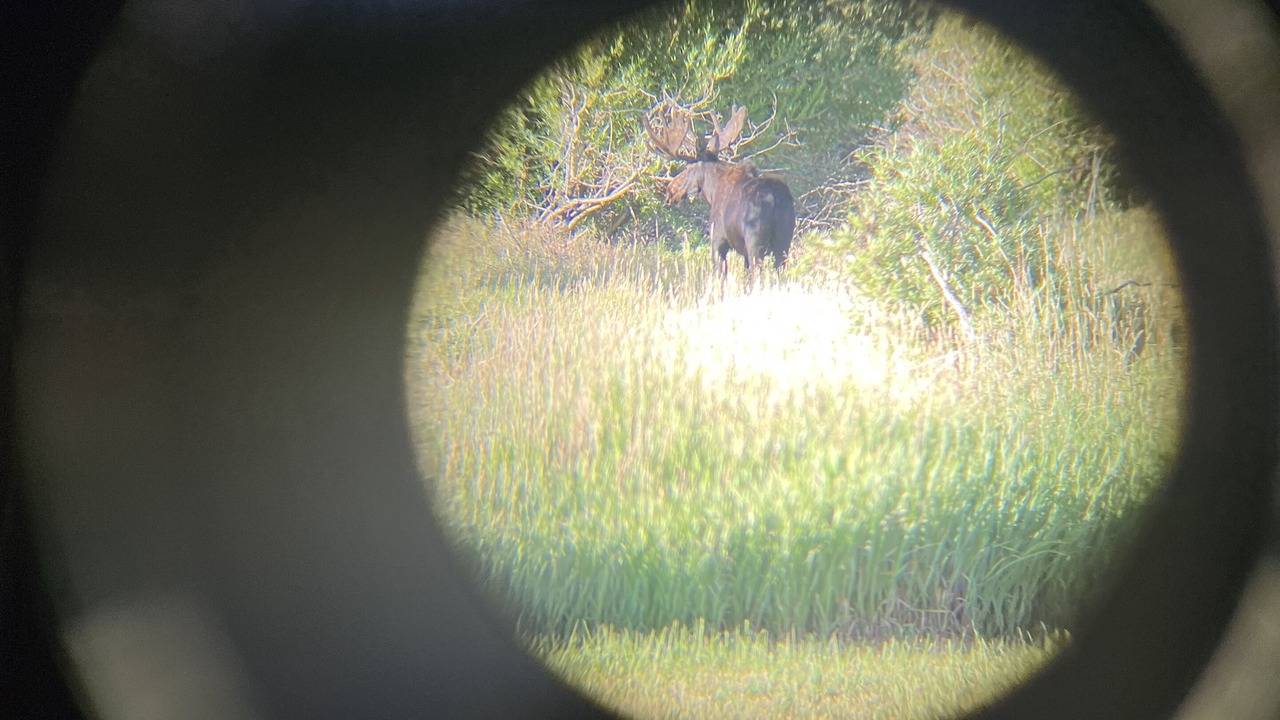 Photo of Others in Walden