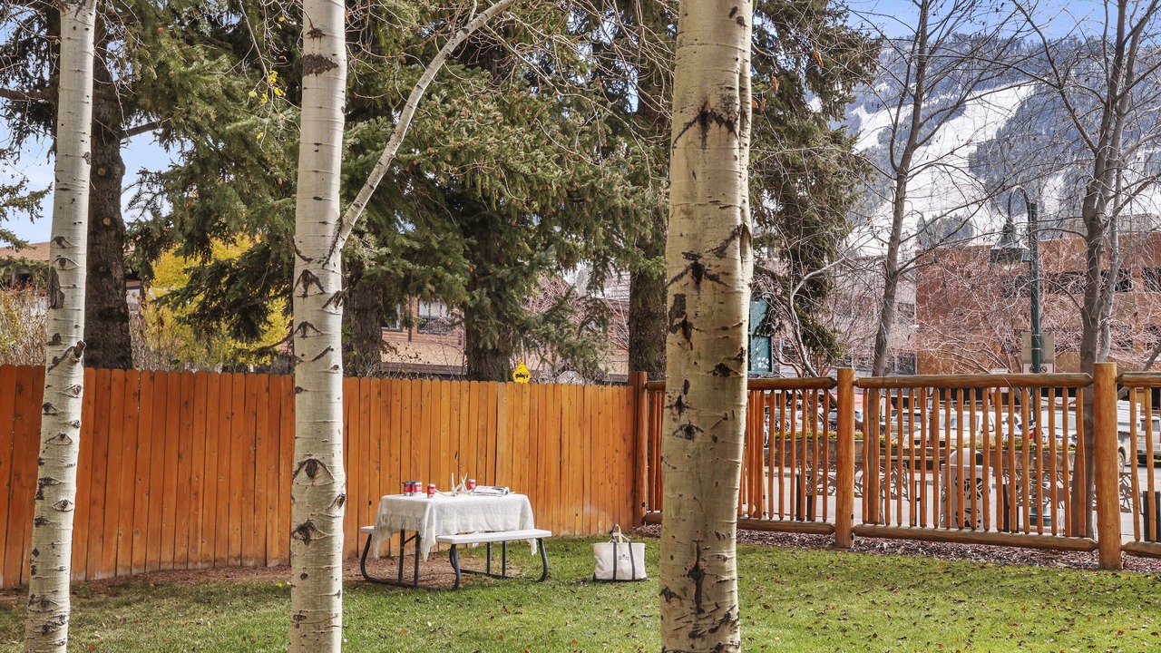 Photo of Outdoor in Jackson