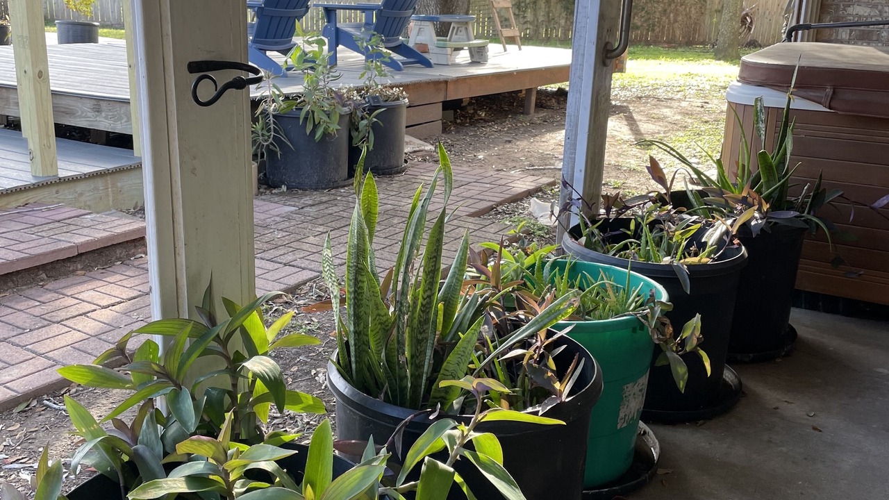 Photo of Patio Balcony in Victoria