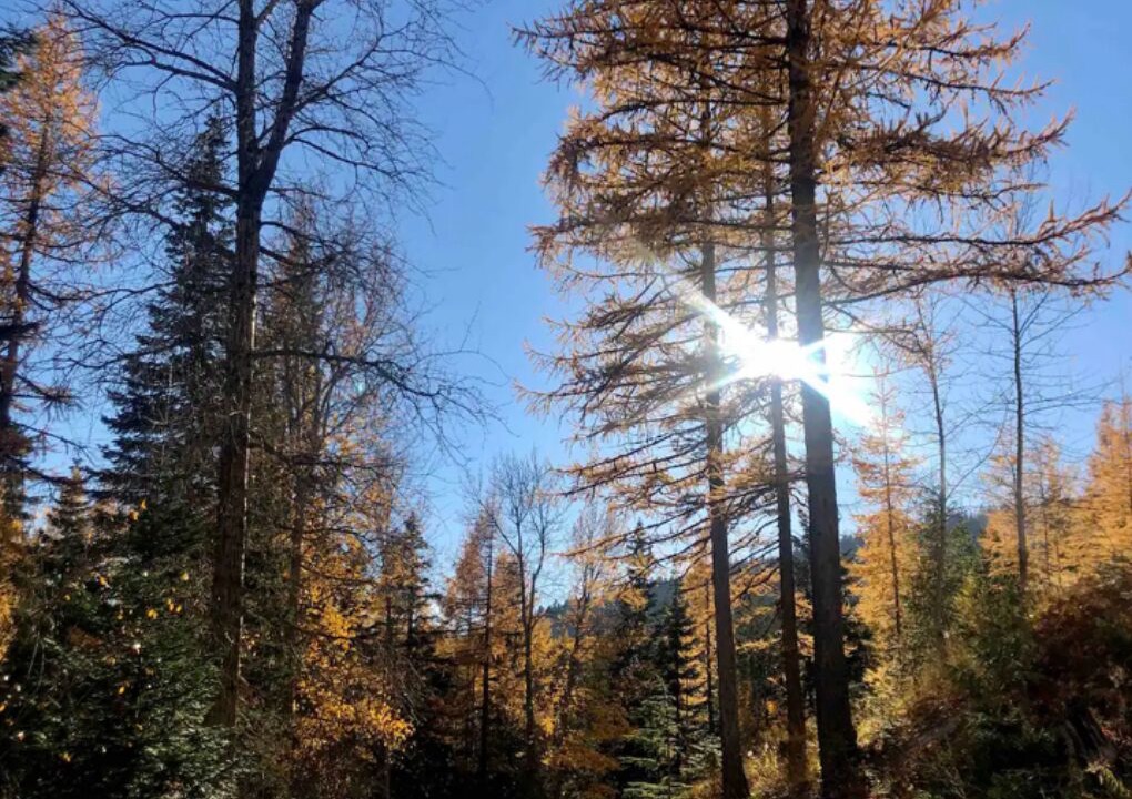 Photo of Outdoor in Mead
