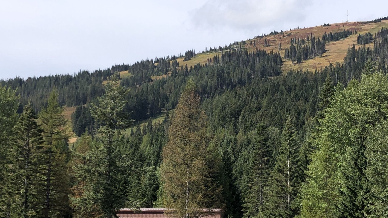 Photo of Outdoor in Mead