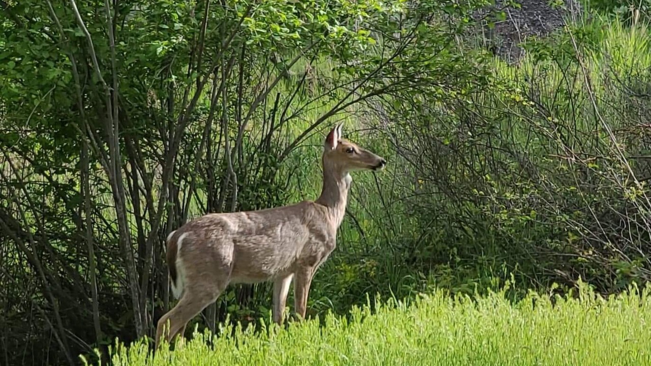 Photo of Others in Worley
