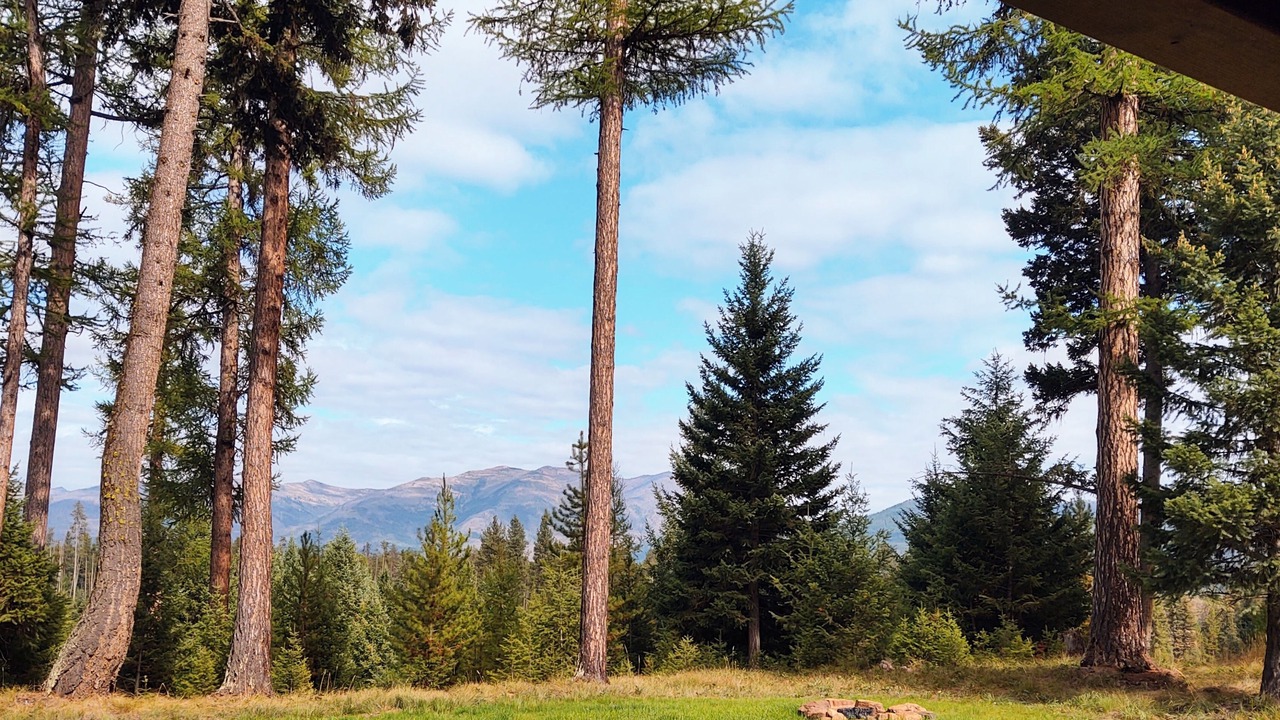 Photo of Outdoor in Seeley Lake