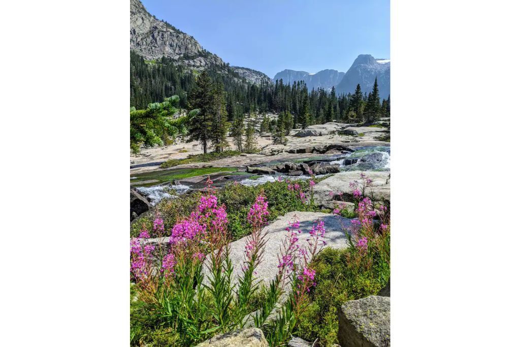 Photo of Outdoor in Cooke City-Silver Gate