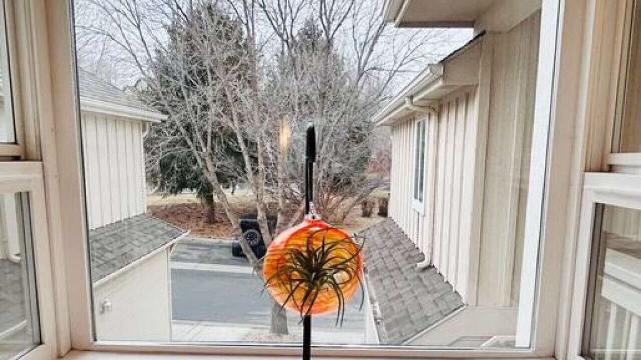 Photo of Others in Southeast Boise