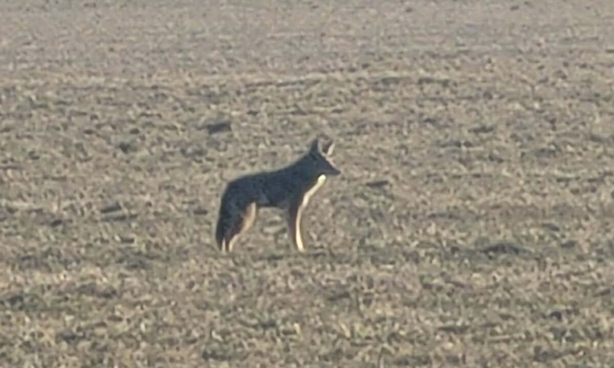 Photo of Others in Caldwell