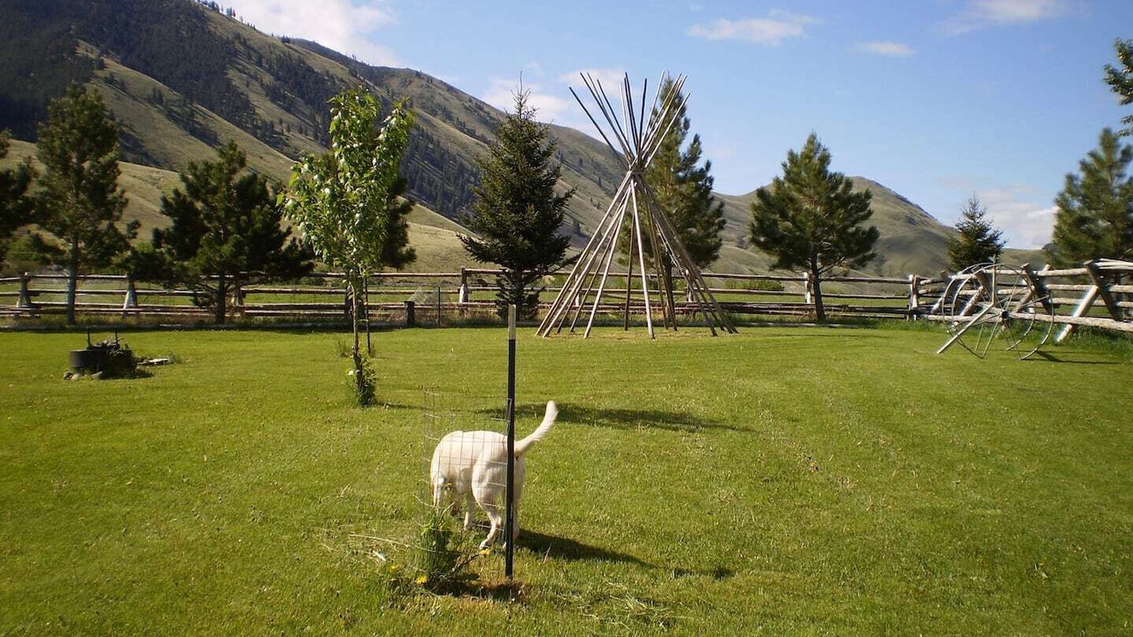 Photo of Outdoor in Salmon