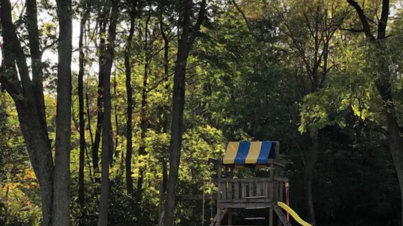 Photo of Outdoor in South Charleston