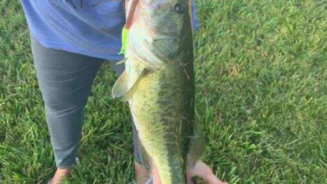 Photo of Others in South Charleston
