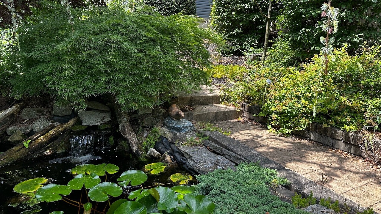 Photo of Outdoor in Annville