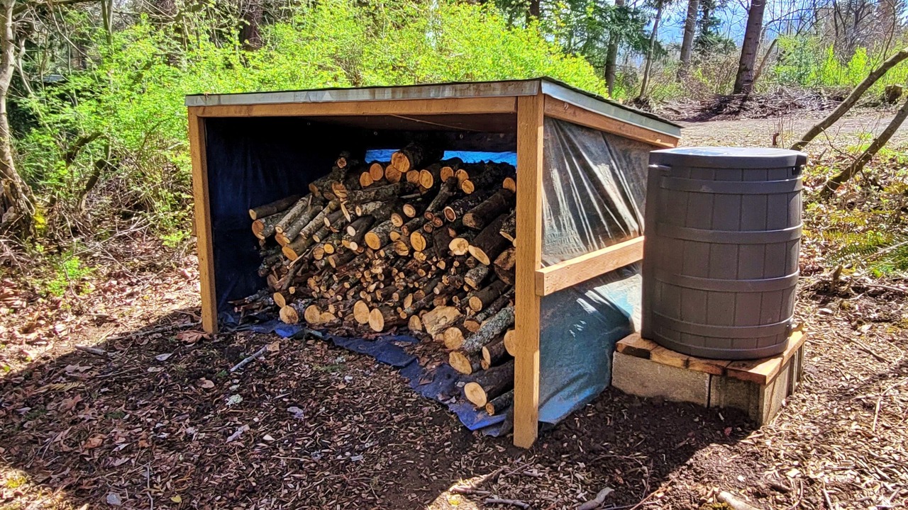 Photo of Outdoor in Bellingham