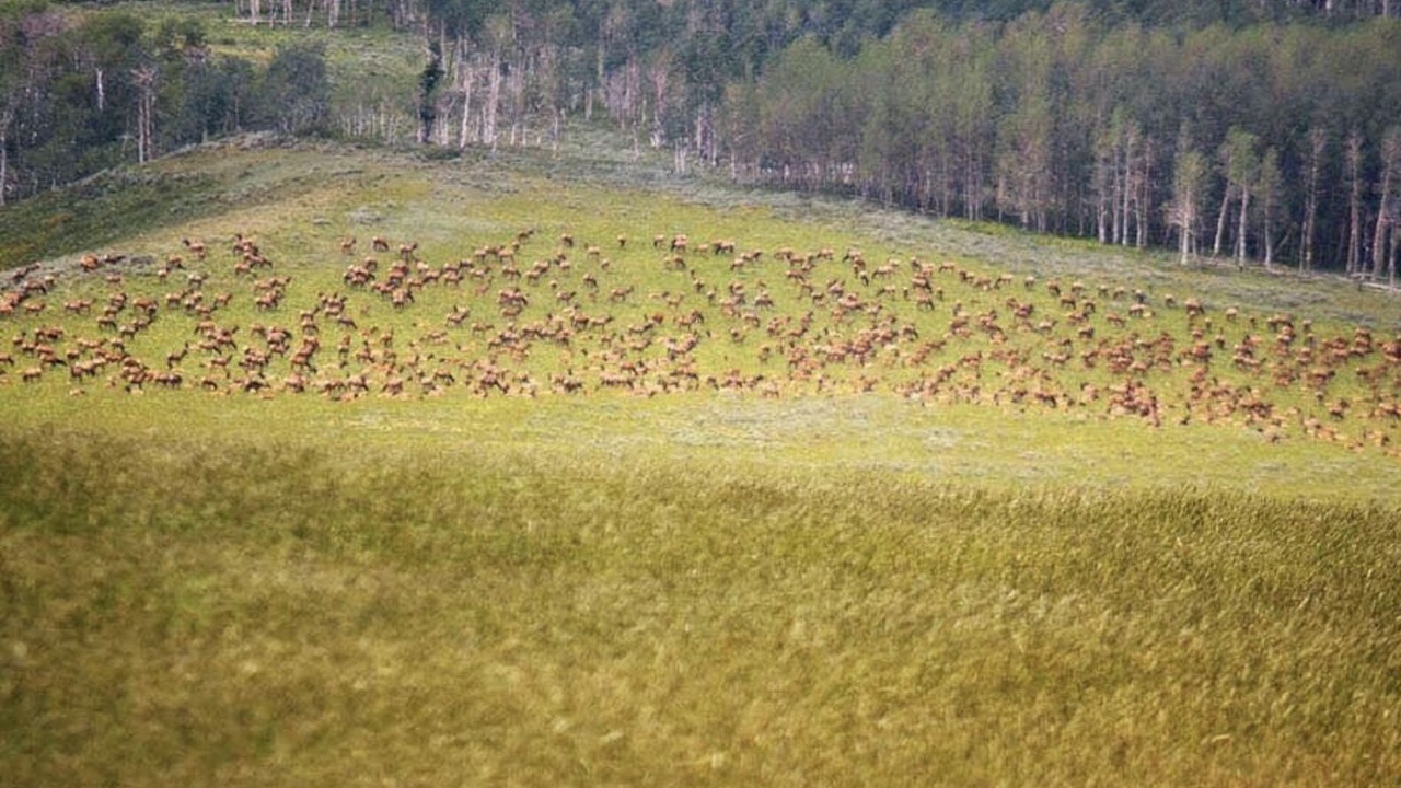 Photo of Others in Walden