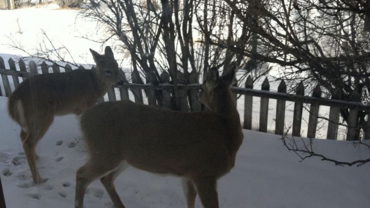 Photo of Others in Walden