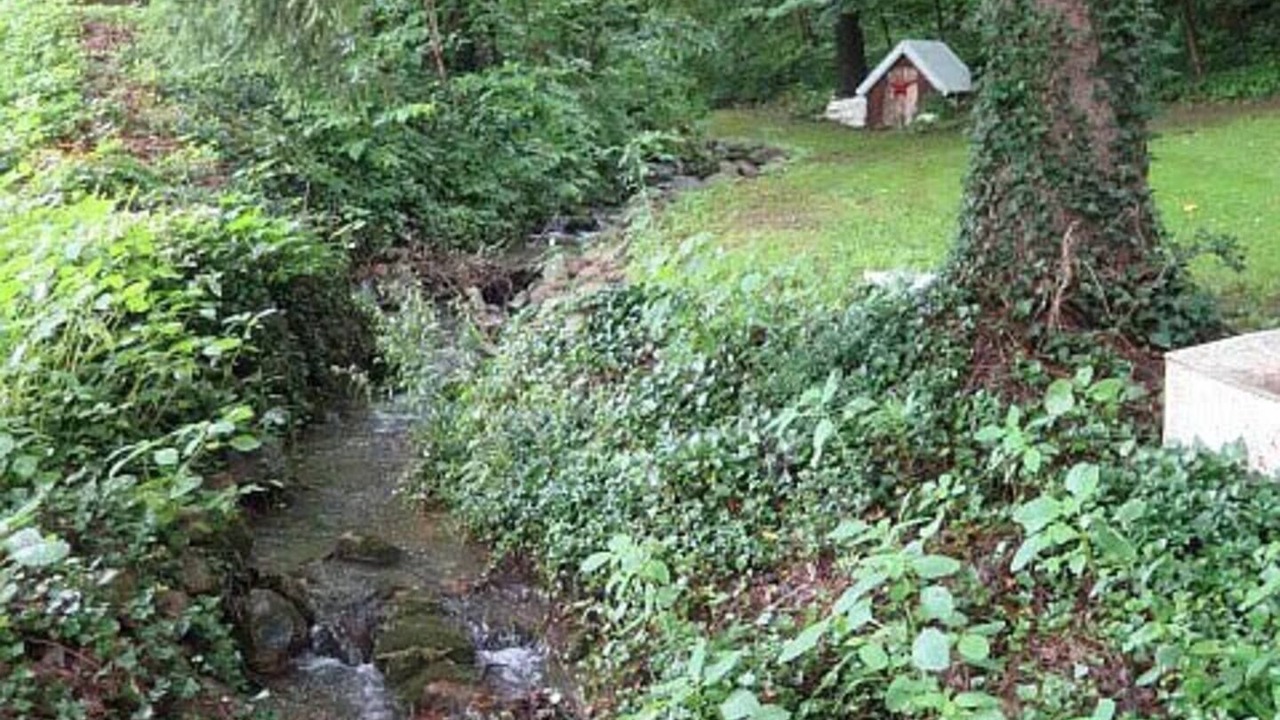 Photo of Others in James Creek