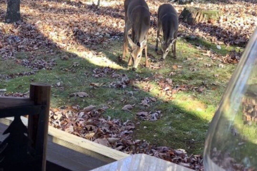Photo of Others in Walnut Mountain