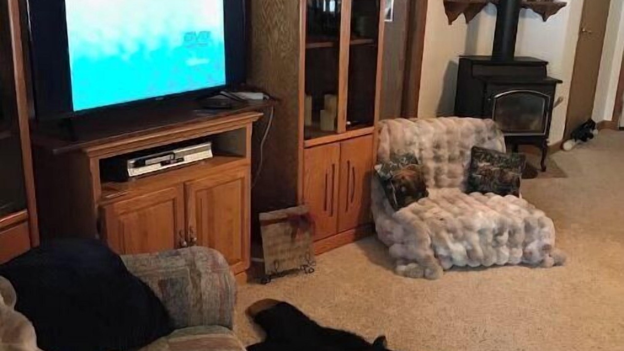 Photo of Livingroom in Clawson