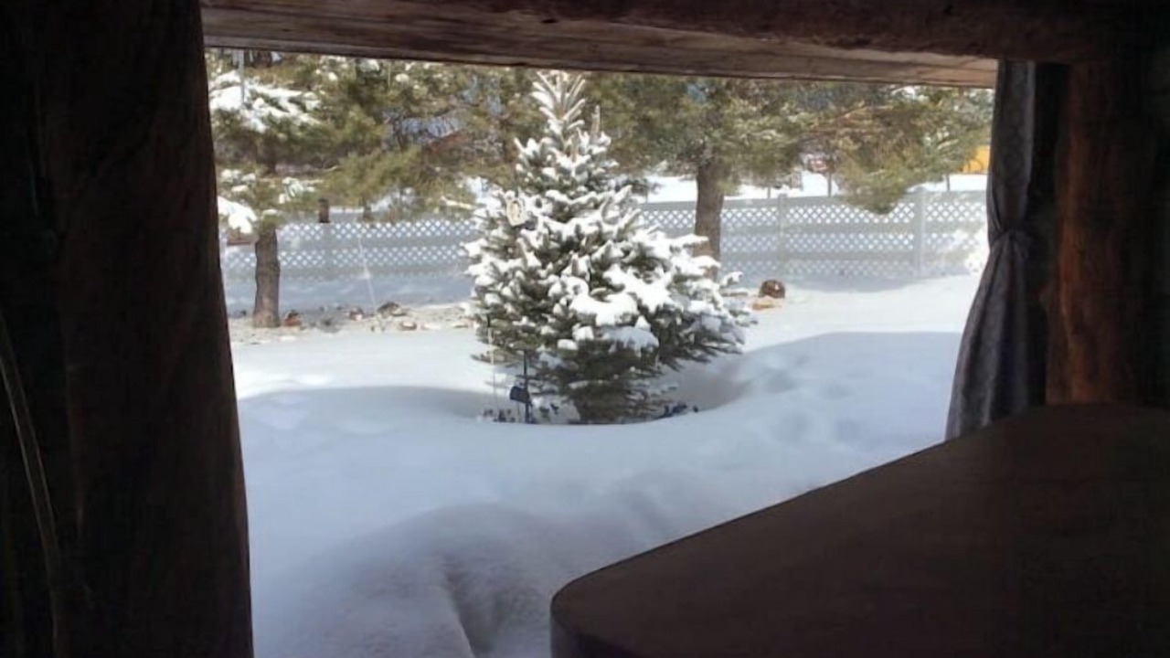 Photo of Outdoor in Clawson
