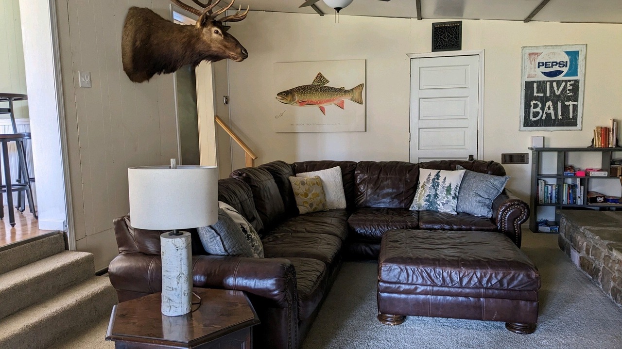 Photo of Bedroom in Driftwood
