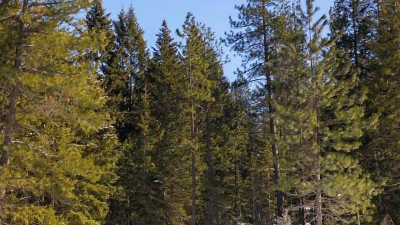 Photo of Others in Athol