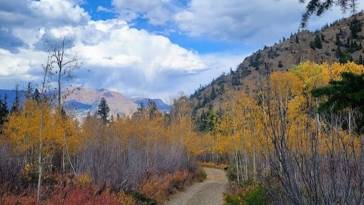 Photo of Others in Wapiti