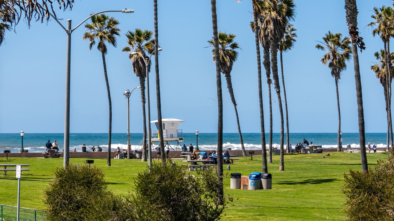 Photo of Others in South Mission Beach