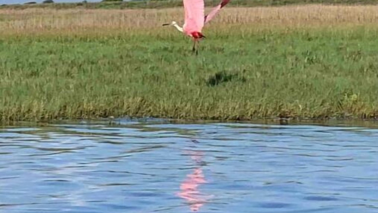 Photo of Outdoor in Port Lavaca