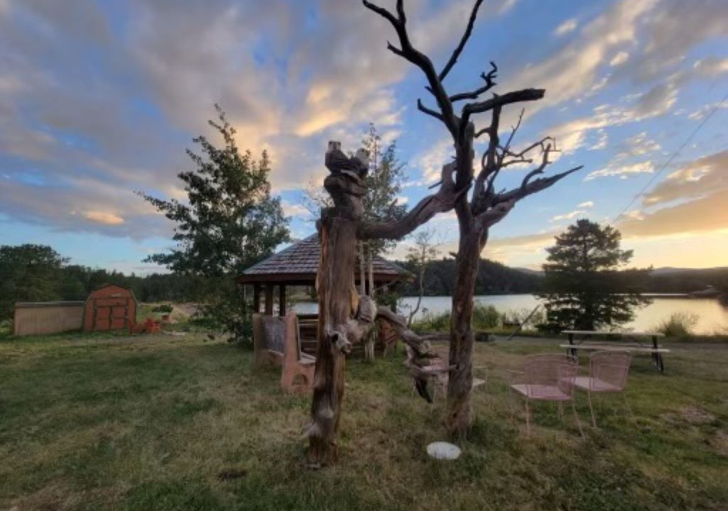 Photo of Outdoor in Red Feather Lakes