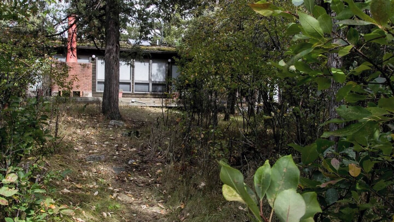 Photo of Outdoor in Livingston