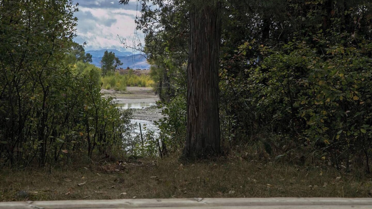 Photo of Others in Livingston