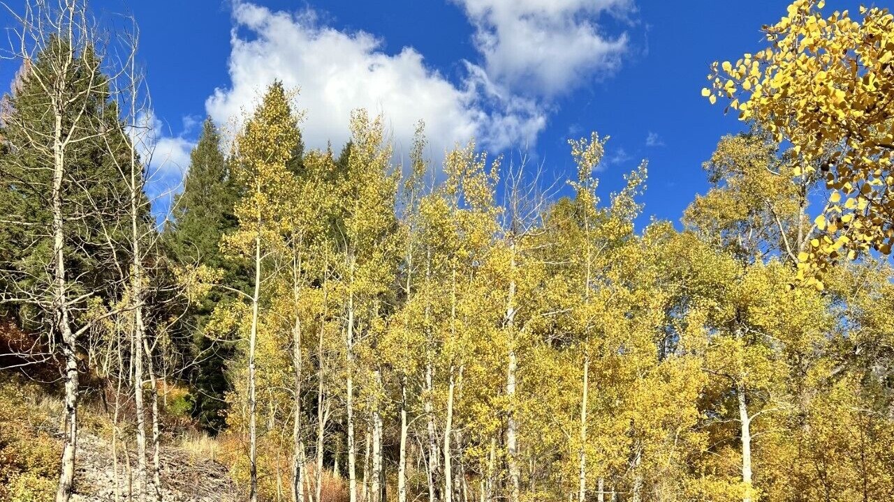 Photo of Outdoor in Thayne
