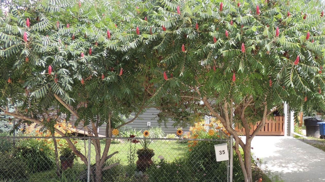 Photo of Outdoor in Sheridan