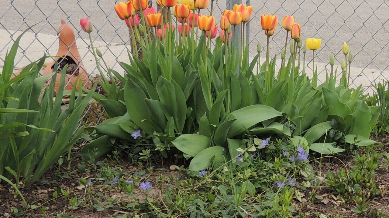 Photo of Outdoor in Sheridan