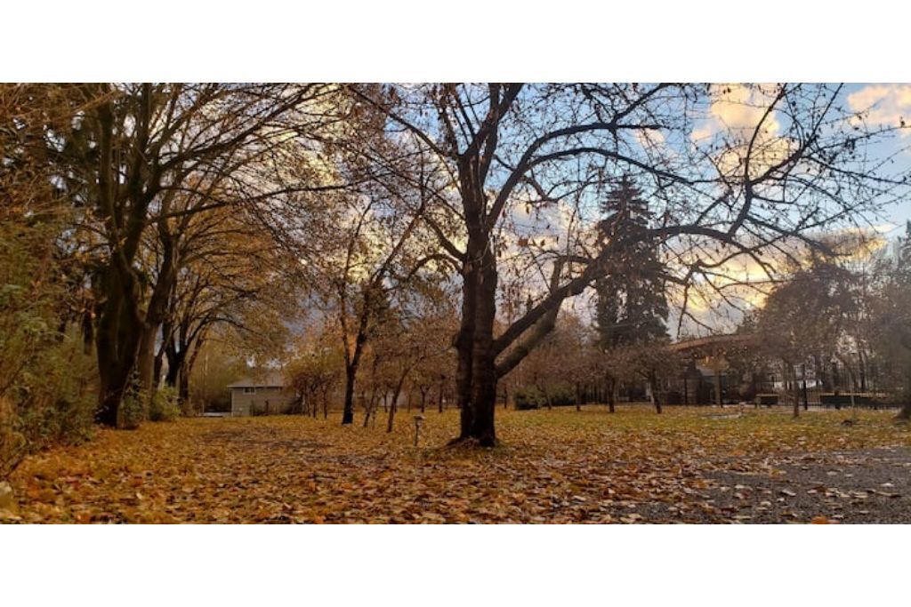 Photo of Others in Spokane Valley